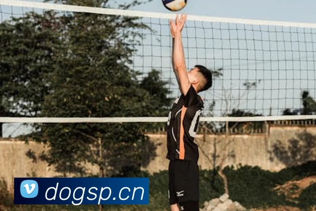 bsprot体育官网登录APP 封面图