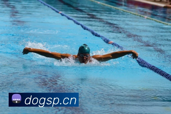 数据防护可视化